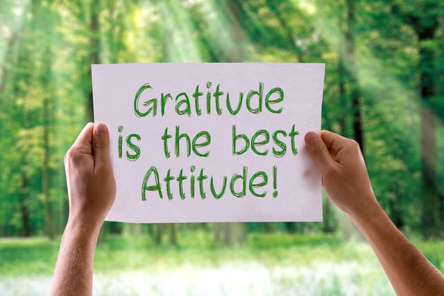 Thanksgiving and The Power of Gratitude