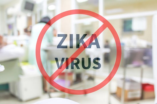 Featured image for Imaging Plays Vital Role in Understanding Zika Virus