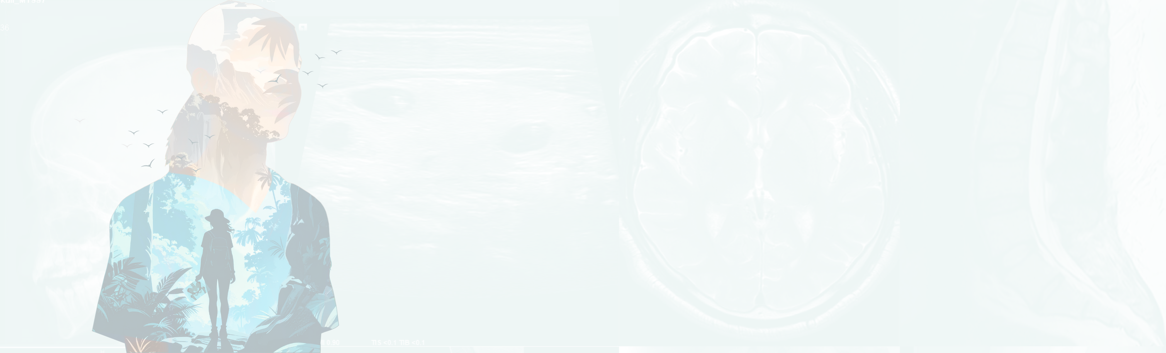 Web-Header-RTW-2025